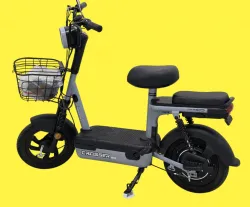 Електричний велосипед Crosser “Mini LFP” 450W 48V/15Ah LiFePO4: 2 місця (водій+дитина), вантажопідйомність 120 кг, запас ходу до 50 км купити в Україні