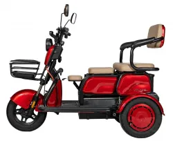 Електротрицикл ATLAS Elegant Trike - 800W • 60V 20Ah