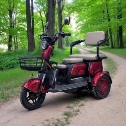 Електротрицикл ATLAS Elegant Trike - 800W • 60V 20Ah