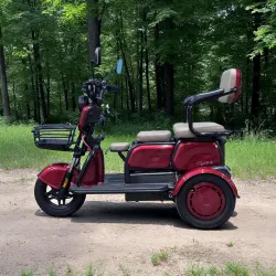 Електротрицикл ATLAS Elegant Trike - 800W • 60V 20Ah